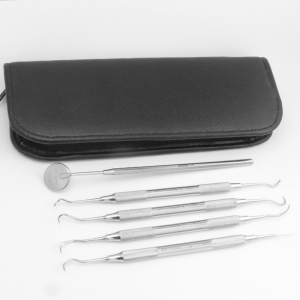 Dental hygienist instrument kit