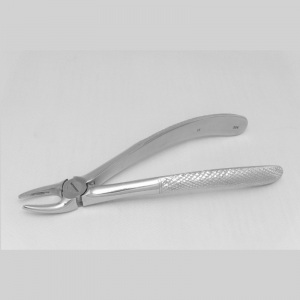 Upper Roots Forceps ash147