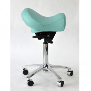 Dentist Saddle Stool