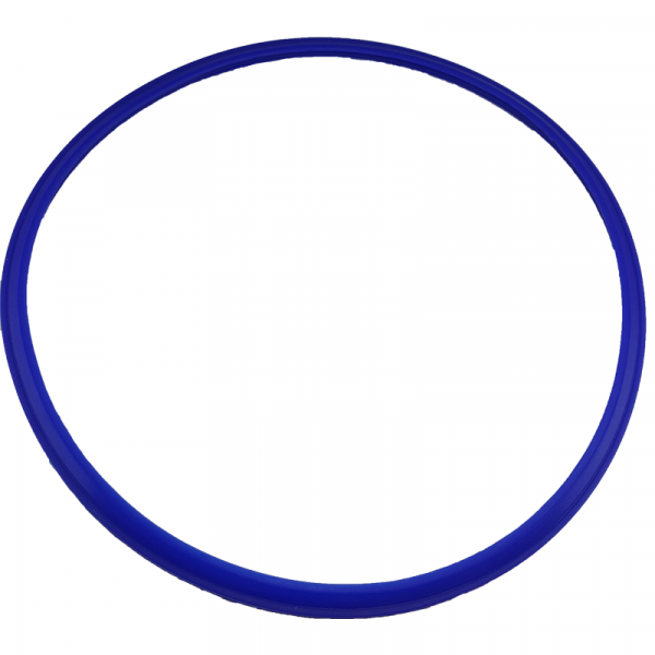 Prestige C3 Autoclave Seal