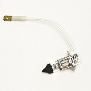 Belmont bulb 24v 60W